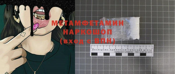 индика Алексин