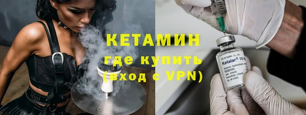 индика Алексин