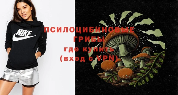 индика Алексин