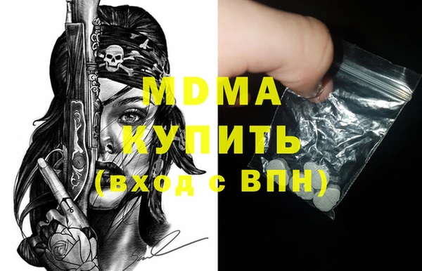 индика Алексин