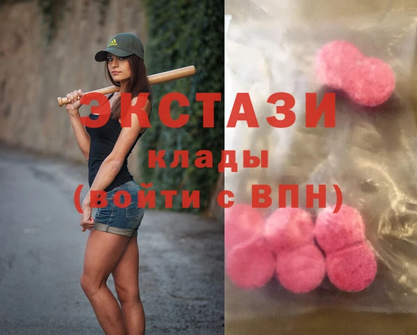 индика Алексин