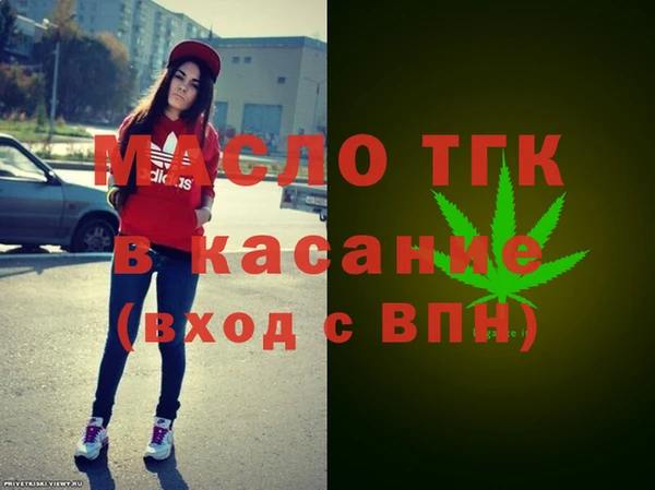 индика Алексин