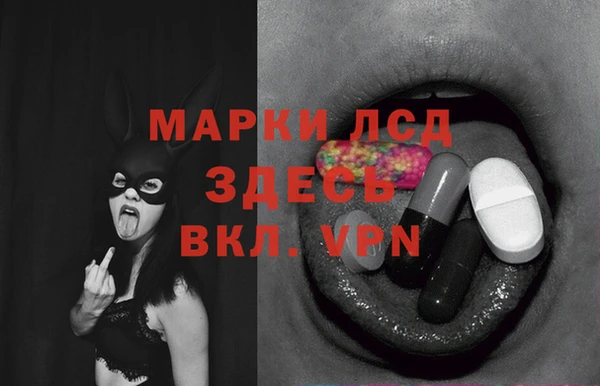 индика Алексин