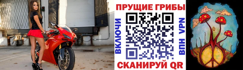 Псилоцибиновые грибы прущие грибы  цена наркотик  Белебей 